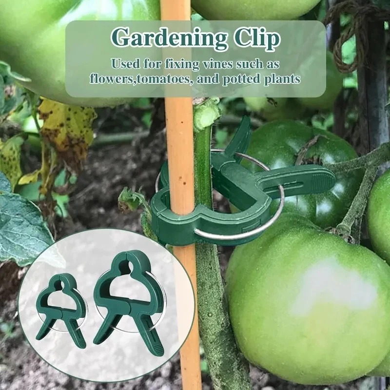50 Reusable Plant Fixed Clips, - مراجعة Florist Supp وسعره