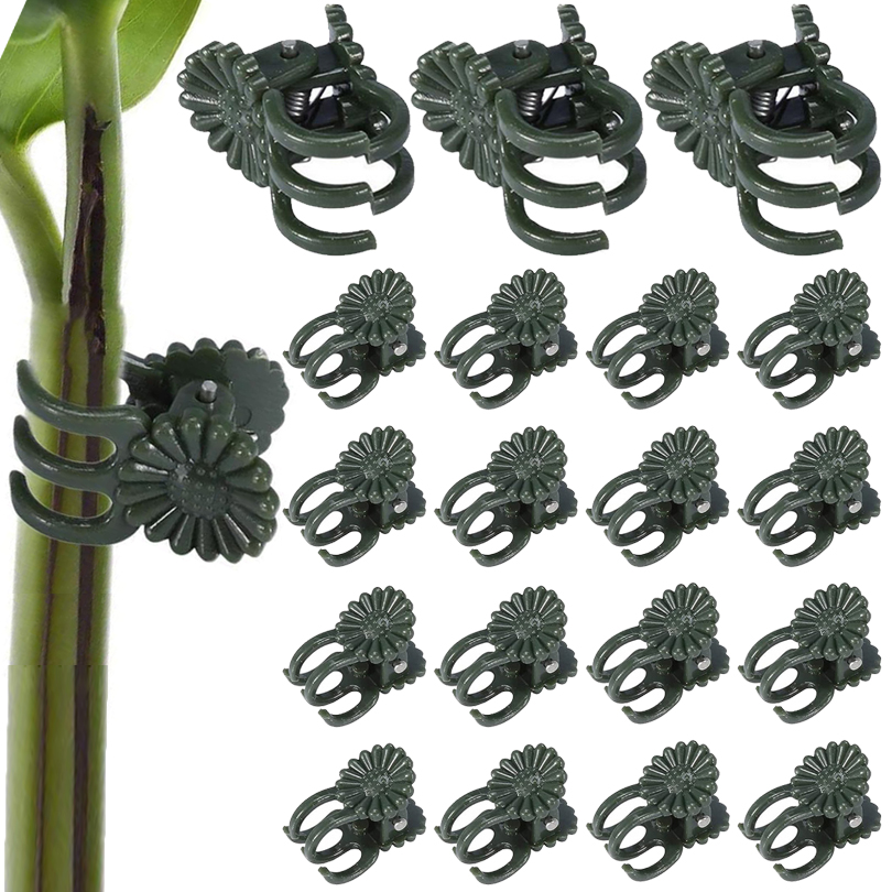 20/50/100PCS Plant Clips Vine  - مراجعة Florist Supp وسعره