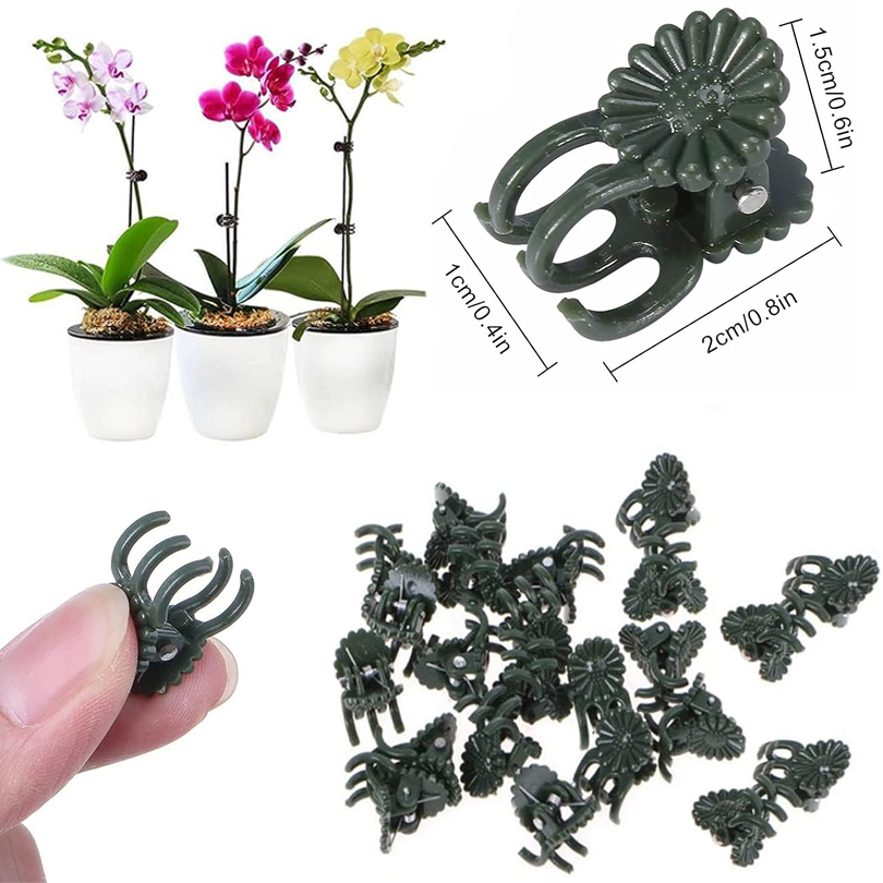 20/50/100PCS Plant Clips Vine  - مراجعة Florist Supp وسعره