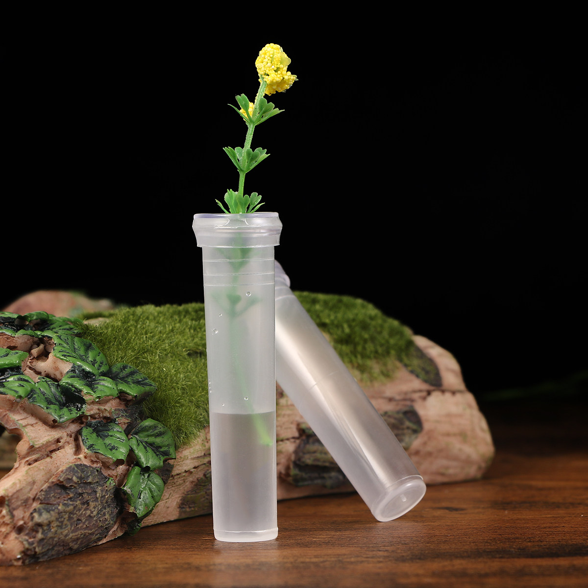 50Pcs Lightweight Flower Tube  - مراجعة Longs Florist Supply وسعره
