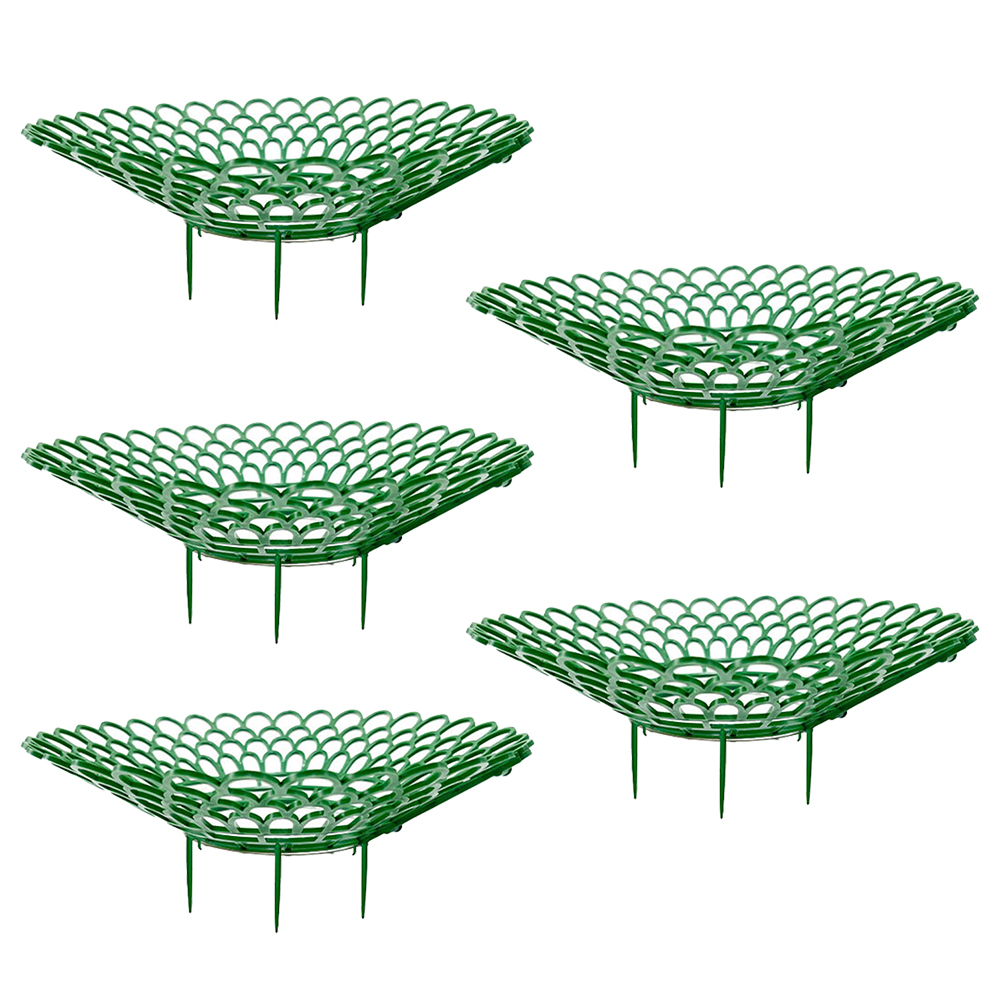5/10pcs Strawberry Plant Suppo - مراجعة Florist Supp وسعره