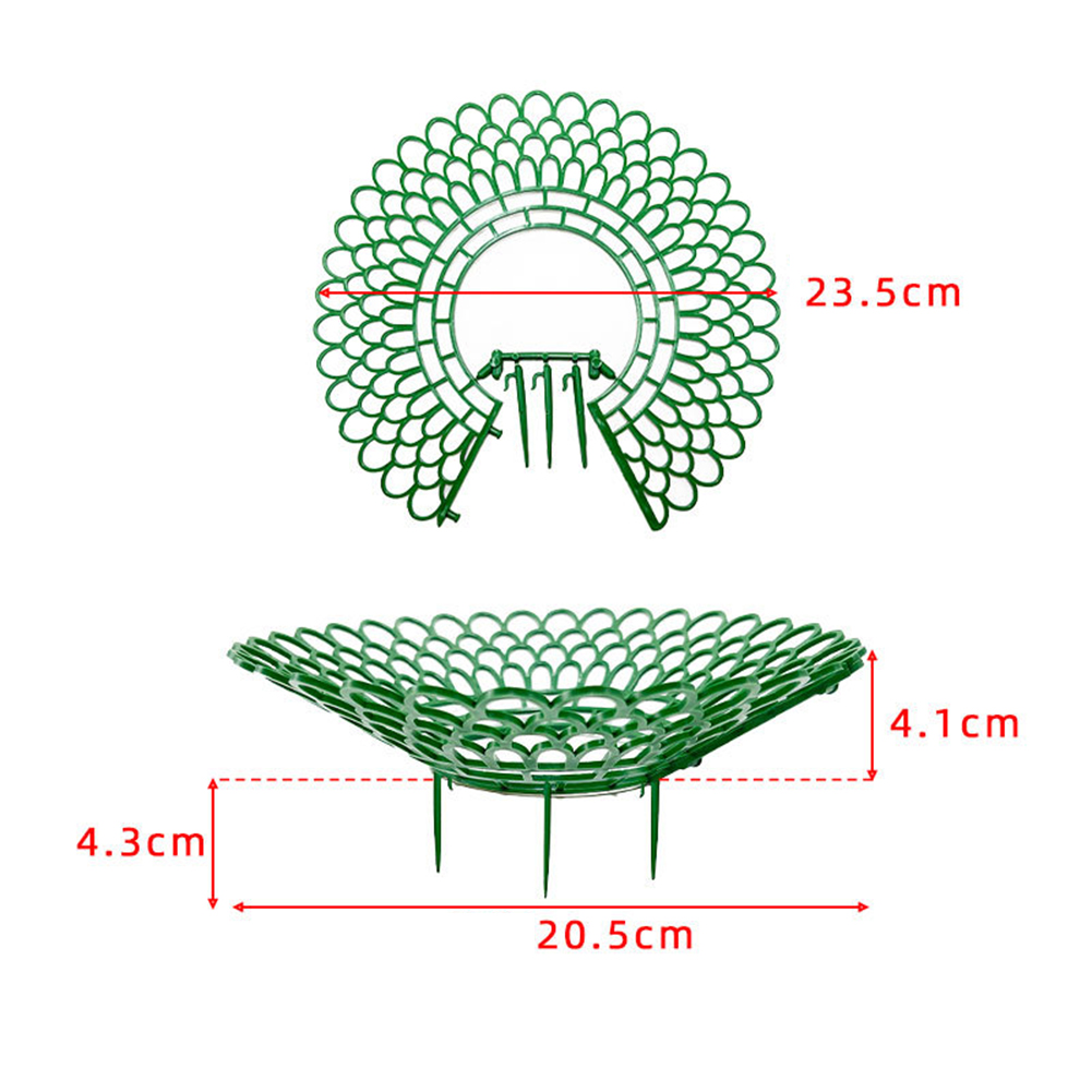 5/10pcs Strawberry Plant Suppo - مراجعة Florist Supp وسعره