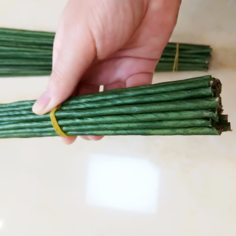 1mm 2/3/4/5mm 40/60cm Dark Gre - مراجعة Wire Stem Florist وسعره