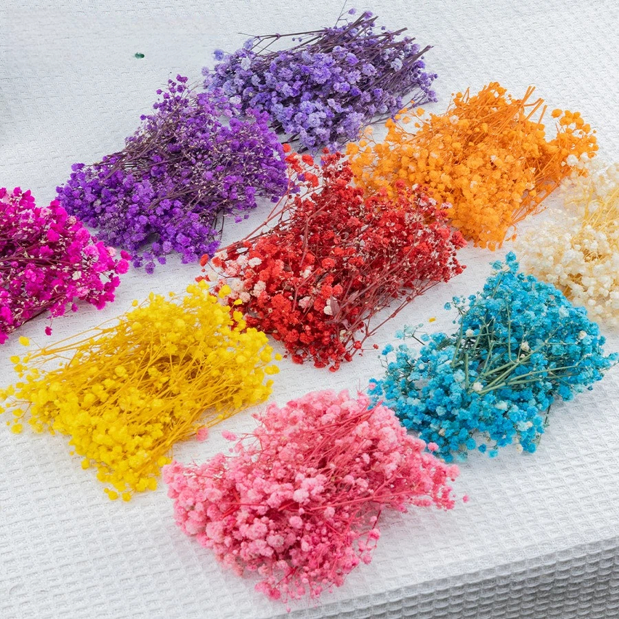 50pcs Mini Dried Baby's Breath - مراجعة Baby Breath Dried وسعره