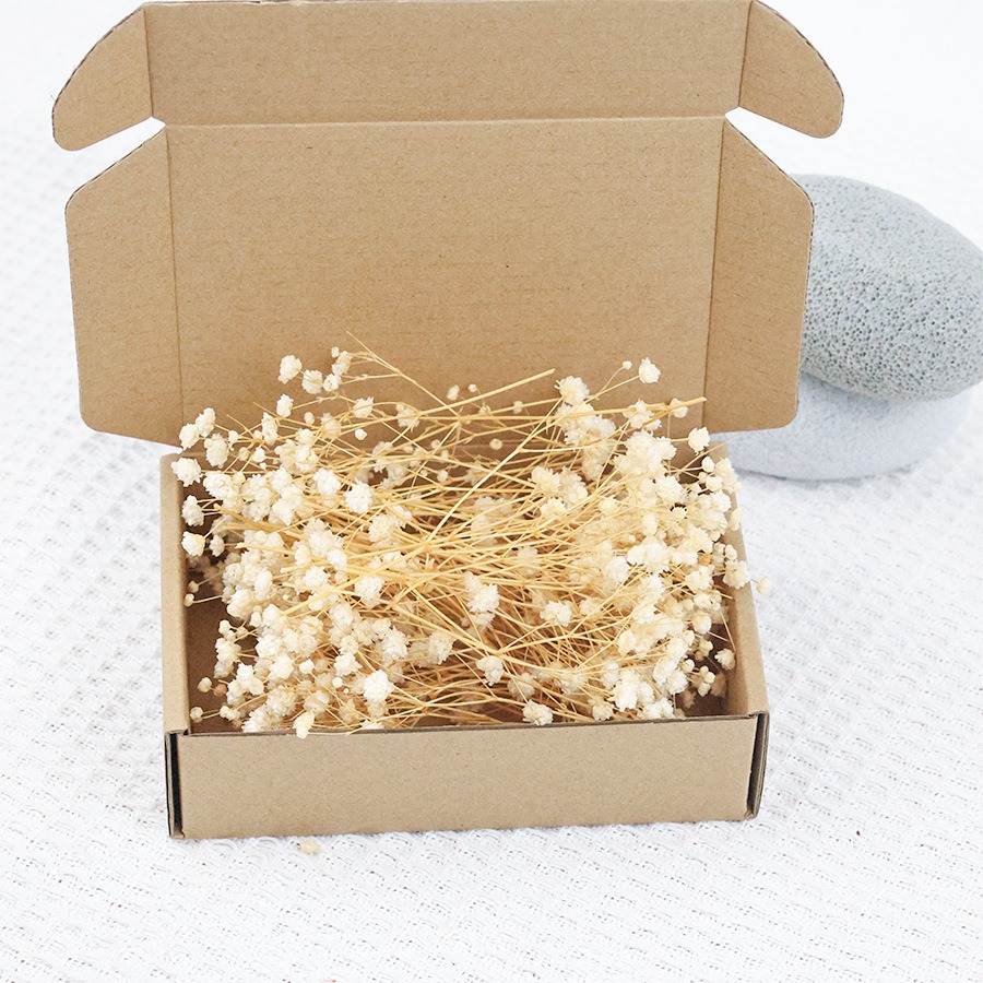 50pcs Mini Dried Baby's Breath - مراجعة Baby Breath Dried وسعره