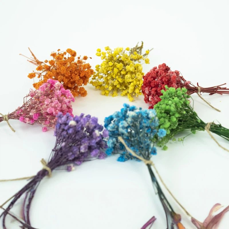 50pcs Mini Dried Baby's Breath - مراجعة Baby Breath Dried وسعره