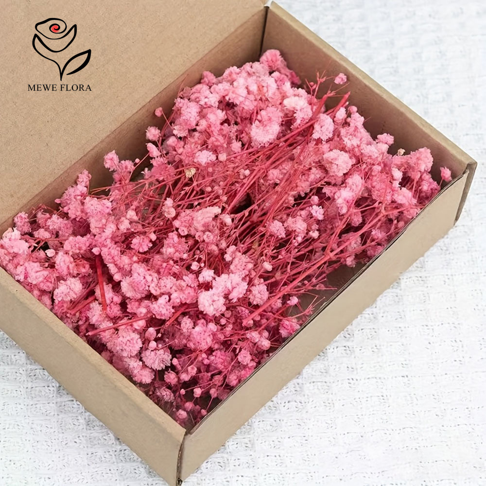 100 Small Branch Dried Baby's  - مراجعة Baby Breath Dried وسعره