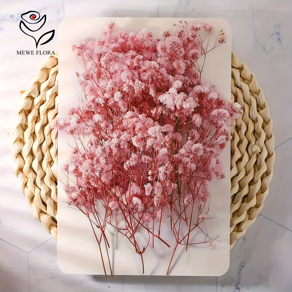 100 Small Branch Dried Baby's  - مراجعة Baby Breath Dried وسعره