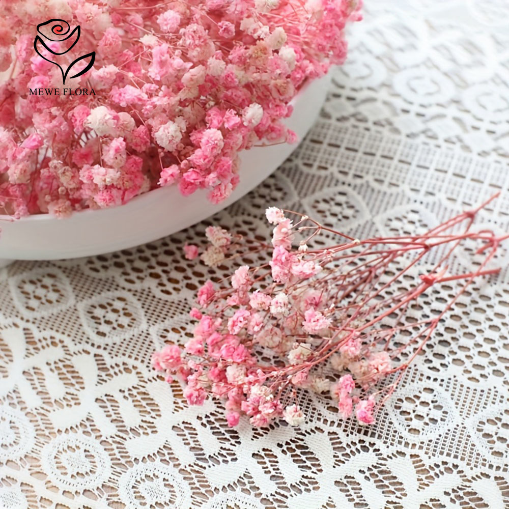 100 Small Branch Dried Baby's  - مراجعة Baby Breath Dried وسعره