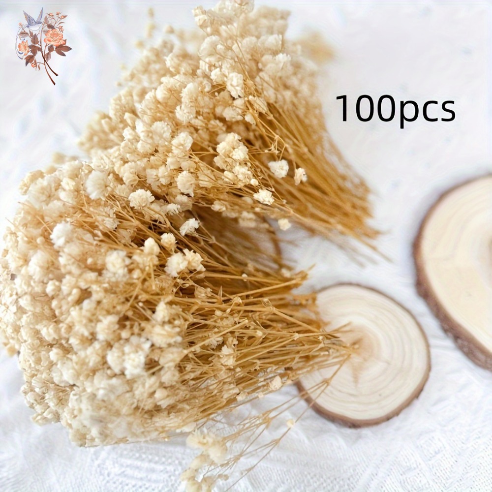 100pcs Mini Dried Baby's Breat - مراجعة Baby Breath Dried وسعره