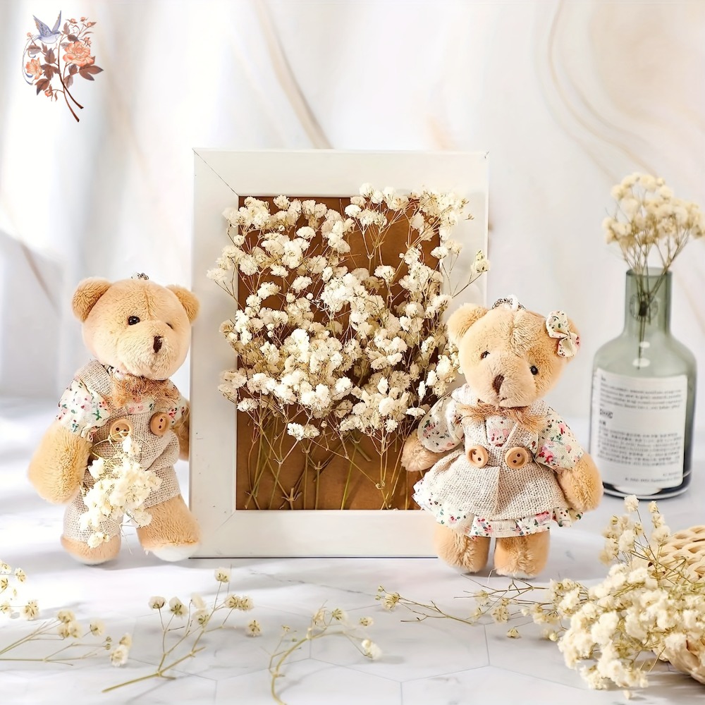100pcs Mini Dried Baby's Breat - مراجعة Baby Breath Dried وسعره