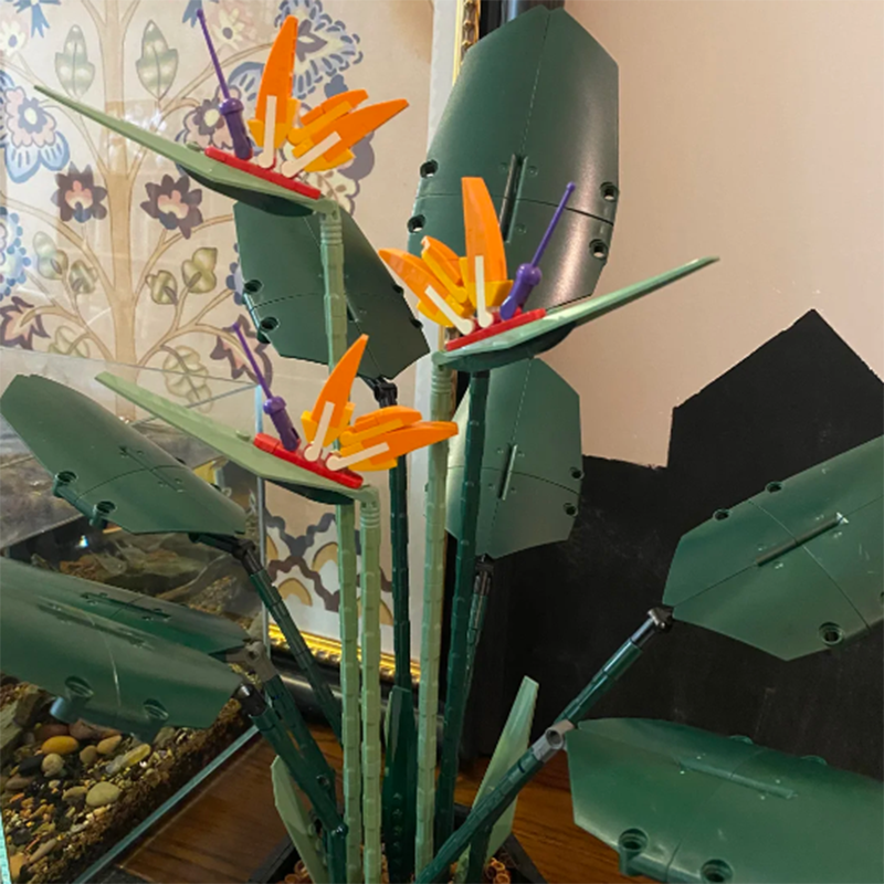 1378PCS Paradise Bird Potted P - مراجعة Florist Supp وسعره